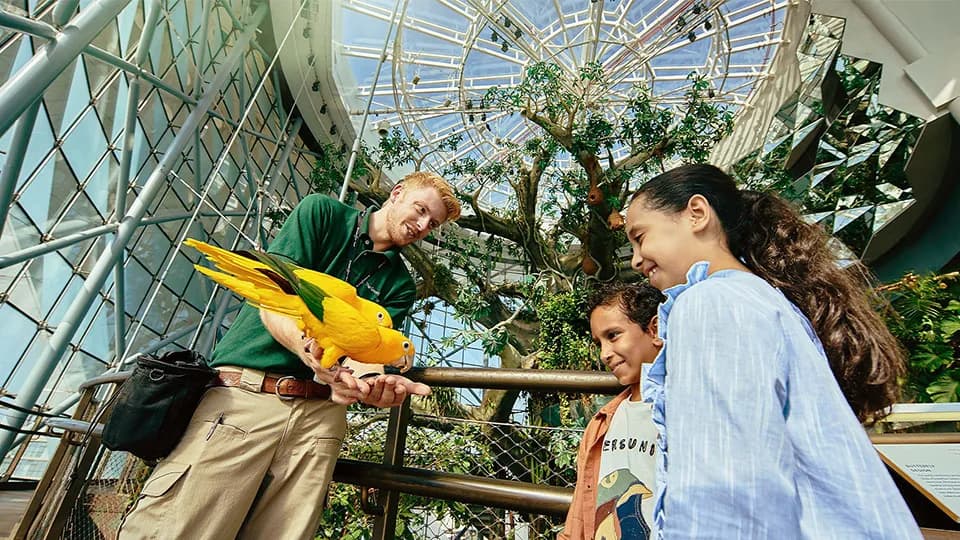 الكوكب الأخضر دبي - Image 1